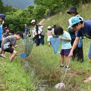 水田水路にメダカ放流　木城えほんの郷「学校のお米づくり」始まる