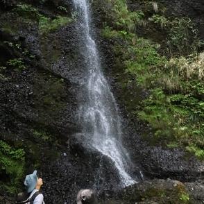 水音としぶきに清涼感　約70人新緑の滝や霊場巡り　マイナスイオンを満喫／岡山・真庭市