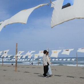 海風で揺れる1000枚のTシャツ　高知・黒潮の入野海岸でアート展