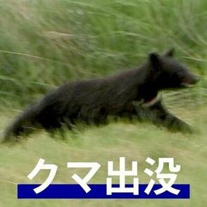 渓流釣りの30代男性がクマ1頭に襲われるけが　自力で民家に駆け込み119番通報　秋田・鹿角市