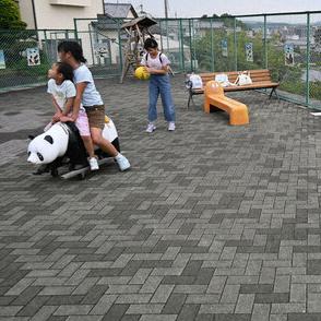 「パンダ園」で自由に遊び、知恵育んで　自宅隣に私設公園　奈良