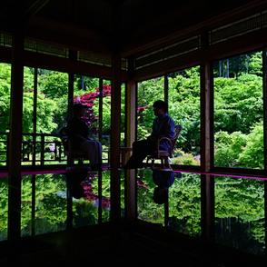 「みどりの日」の新緑、漆塗りテーブルで映える写真演出　佐賀・唐津