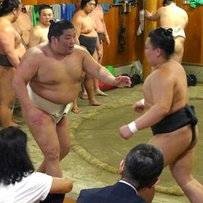 尊富士が一丁押しを再開「土俵のケガは土俵で治さないと」本能のままに、夏場所出場へ前向き