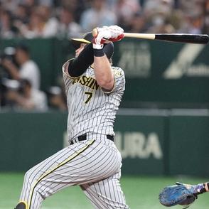 阪神・ノイジーが4回に菅野から先制打！3日初戦で門別のリズム崩す失策の汚名返上