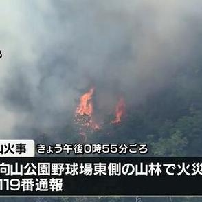 火は燃え広がり鎮圧に至らず…山形・南陽市の山火事　4日の消火活動は日没で打ち切り5日早朝から再開　70代男性がけが