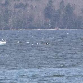 阿寒湖で死亡したのは札幌市の３９歳の男性　モーターボート沈没　残る１人の捜索は５日も早朝から