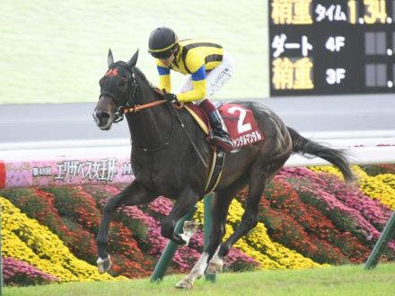 【NHKマイルC予想】3歳マイル王決定戦 今年は牡牝2歳王者の対決に注目