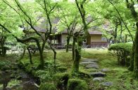 新緑の山林と「一体化、秀逸」　実業家が9年かけて建てた茶室　佐賀