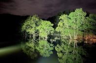 今しか見られない絶景！山形・白川湖の「水没林」ライトアップが美しい！