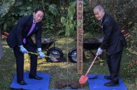 岸田首相が植樹、移民慰霊碑に献花 訪問先ブラジルで