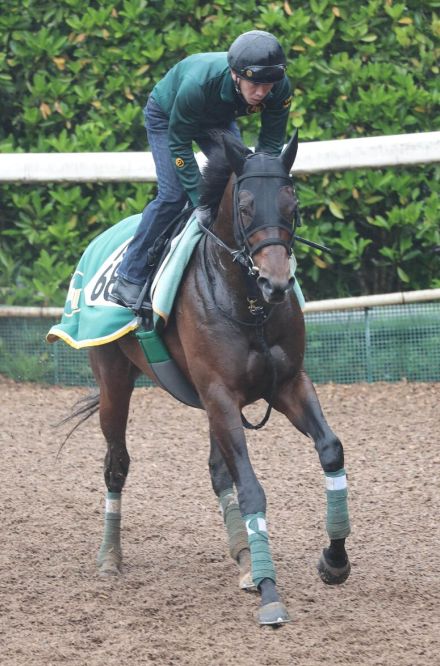 日曜新潟競馬場の注目激走馬…新潟１１Ｒ新潟大賞典・Ｇ３