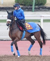 桜花賞馬のステレンボッシュはオークスでは戸崎圭太騎手との初コンビで２冠目狙う