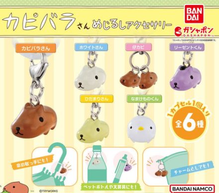 ホワイトさんや仔カピなどがラインナップ。ガシャポン「カピバラさん めじるしアクセサリー」5月発売！