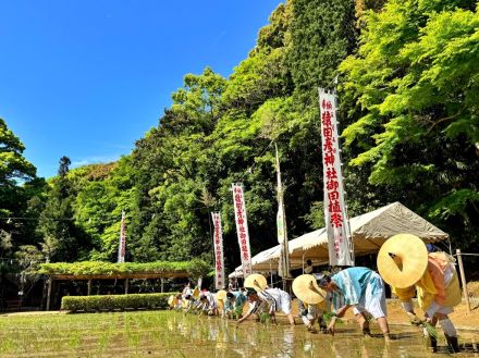 伊勢・猿田彦神社でお田植え祭　桃山時代から伝わる装束を着て