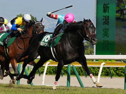 【新潟大賞典】ヤマニンサルバム逃走V!　7勝全て左回りに中村師苦笑い「右でもやれると…」