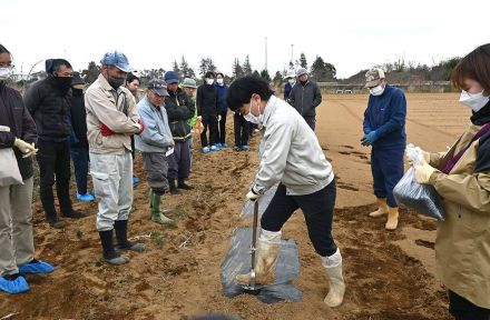 横浜・園芸博後を視野に　上瀬谷跡地で地元農家が新たな作物に挑む　効率化や高収益化を図る