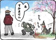 【漫画】愛犬と桜がうまく撮れない…苦戦中、イケオジに遭遇！　かっこいいアドバイスに「惚れる」【作者インタビュー】