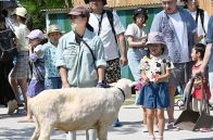 動物たちに興味津々　ヤギや馬と子どもたちがパレード　5年ぶり、沖縄こどもの国