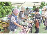 地場産農産物などずらり　アマンディー市にぎわう　鹿児島県奄美市笠利町