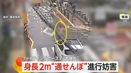 “身長約2m”上半身裸の大男が道路のド真ん中で仁王立ち　身長差約20cmの警察官、苦戦するも現行犯逮捕　韓国