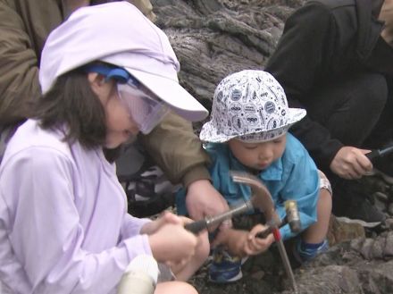 “貝や植物”など発見…親子が化石の発掘に挑戦 28年前に“鳥羽竜”見つかった三重県鳥羽市の砥浜海岸