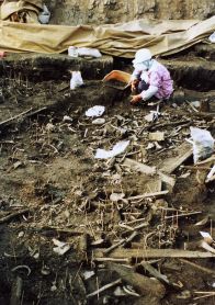 弥生時代の集団埋葬109体は「戦死者」か「無縁仏」か　鳥取・青谷上寺地遺跡で深まる謎