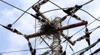 カラス原因の停電、神奈川で相次ぐ　電柱で巣作り　材料の金属が電線に接触
