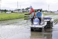 家族で協力　田植えに精　GW最終日