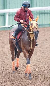 【ヴィクトリアマイル】２２年秋華賞馬のスタニングローズが長欠明けを使われ上昇　高野調教師「もうひとついい」