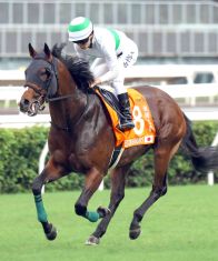 エルトンバローズが東京競馬場に入厩　安田記念目標に調整予定