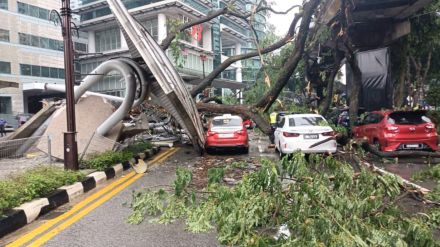 クアラルンプールで大木が道路に倒れ1人死亡
