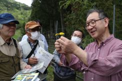 身近なタンポポ調査　在・外来など見分け　自然学習施設で／兵庫・丹波市