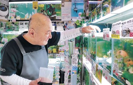 病押し駅前に夢の店　小松・熱帯魚店主の前田さん