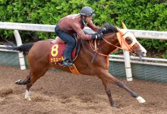 【ヴィクトリアマイル】藤岡康太さん騎乗でG１勝利の愛馬に高野調教師「彼が押し上げてくれたナミュールを、さらに高みに」