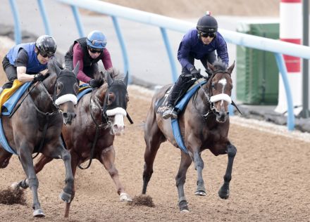 【日本ダービー】３戦３勝のシックスペンスは馬なりで圧巻の動き　国枝調教師「勢いが違ったね」