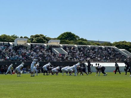 オービックシーガルズ、アメフトXリーグ開幕戦勝利　5連覇目指す