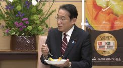 岸田首相が茨城のメロン笑顔で完食「つい全部食べてしまった。元気出る気がして」