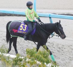 【注目馬動向】ジャスティンパレスは宝塚記念でルメール騎手とコンビ