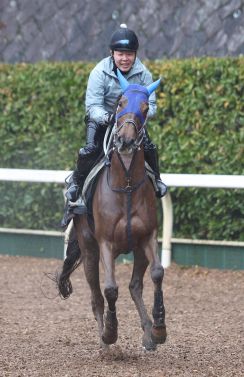 【エンプレス杯】アイコンテーラーは直線で伸びず５着　松山弘平騎手「勝ちに行ったぶん苦しくなった」