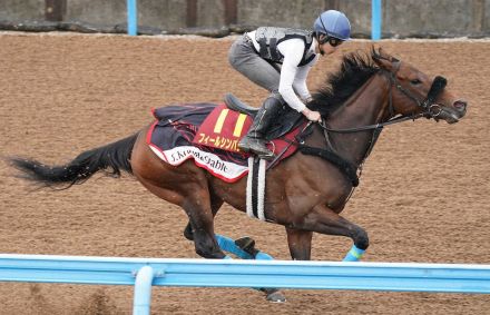 【ヴィクトリアM】フィールシンパシー　素軽いフットワーク　横山琉「今が一番充実している時期」