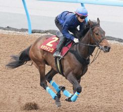 【ヴィクトリアM】キタウイング　リズム良く余力を残して本番へ　杉原は一発を狙う