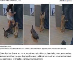 《ブラジル》愛犬が女性飼い主を〝監禁〟＝監視カメラが捉えたその瞬間