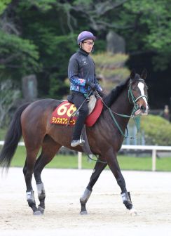 【オークス】横山和生騎手で参戦のランスオブクイーンが軽快な動き　奥村豊調教師「力を出せるようになってきました」