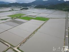「田植えの季節、こんな大雨初めて」…236ミリ豪雨で韓国の農業従事者「茫然自失」