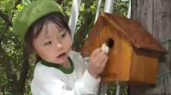 園児が鳥の巣箱かけ　愛鳥週間にあわせ　広島・福山市