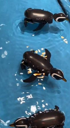 模型と思えぬペンギンっぽさ！　タミヤの新商品「歩いて泳ぐペンギン工作セット」が話題