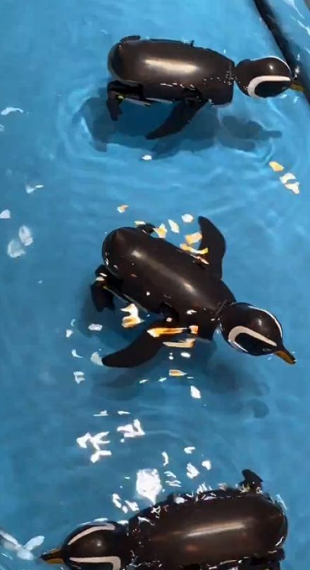 模型と思えぬペンギンっぽさ！　タミヤの新商品「歩いて泳ぐペンギン工作セット」が話題
