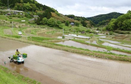 連なる水田 初夏の風に揺れる早苗　岡山・美咲町大垪和西地区で田植え期