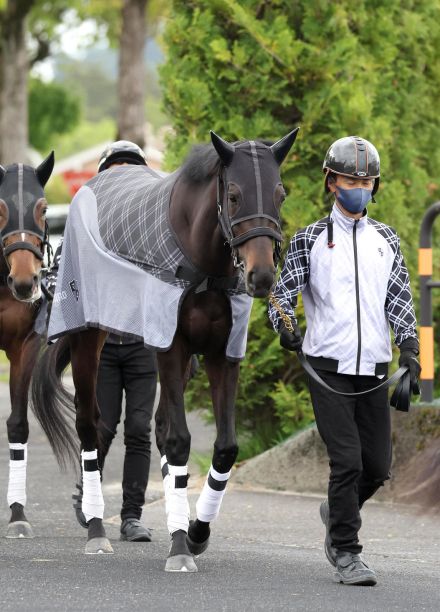 【ヴィクトリアＭ】マスクトディーヴァ気配良好「あとはゲートを決めてくれれば」辻野師期待