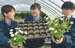 培養土代わりに竹使える　花育て手応え放置竹林対策に　神戸学院大と大阪府立園芸高